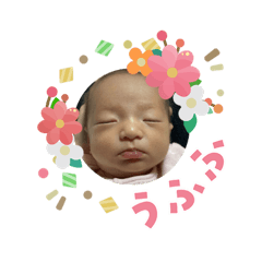 YUKA_20260212114234