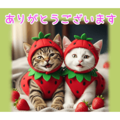 [ありがとうございます専用]イチゴ猫