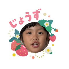 inaso_202600212