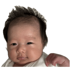 shiho_20260212115616