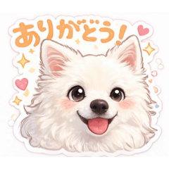 Cherry_20260211193351