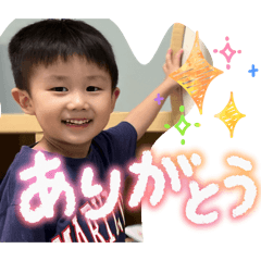 shingo_20260211163742
