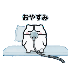 me-raise_20260211230041