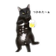 keiko_20260211164307