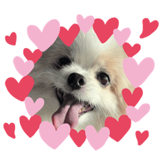 kiiiii_20260211172241