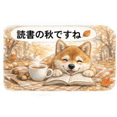 yururin_20260211210616