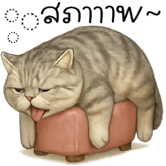 สภาาาาาพ @.@