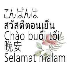 MultilingualTranslationOfTextDialogueB.