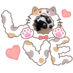 doglove_20260211222134