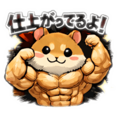 machomacho_20260211222305