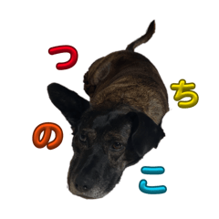 manjyu88_20260211223324