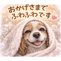 kota_kina_mama_20260212063928