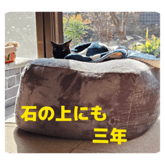 poe lovers_20260209163502