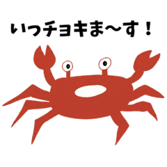 Fun Fish Friends: Chatty Sea Life