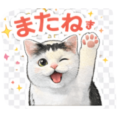 Kanata_20260211160536