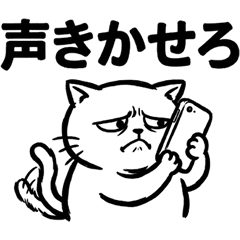 Not-So-Honest White Cat