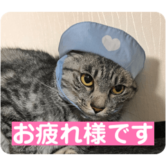 kotaro_20260212133530