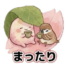桜餅とスズメのまったり日常♪見やすい