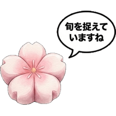 究極和菓子：至高質感・商務禮貌用語