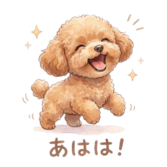 Momo the Toy Poodle Daily Cute Stickers