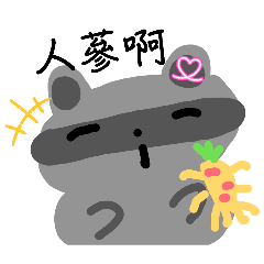 浣熊的搞笑日常NO.1