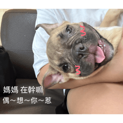 天財の心情語錄-心情不好可以看看財葛格