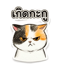 CatSper Troublemaker