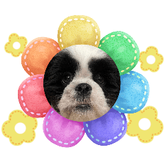 charcoal_20260212013309