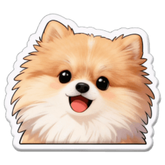 My name is Ting-Ting