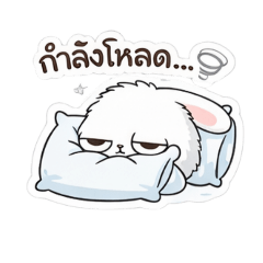 aumaim_20260212083431