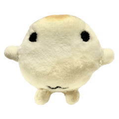 chinchira_20260209184933