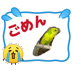 ikkou_20260211212346