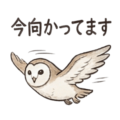 働くメンフクロウの敬語スタンプ
