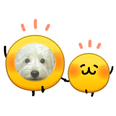 My dogg is happayy