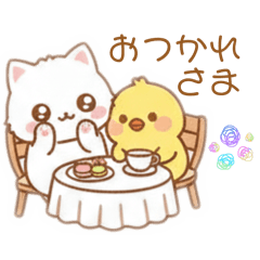 chocotto_20260212014415