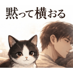 odayakamaigo_20260212092931