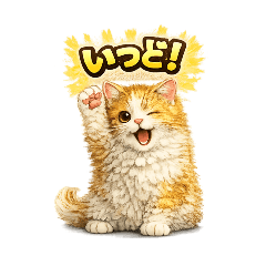 Winky Soichiro | Kagoshima Dialect Vol.2