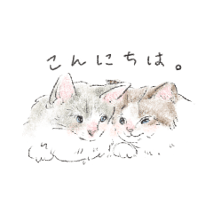 NORIKO_20260211212558