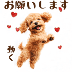 Animated Toy Poodle Caring Love[Revised]