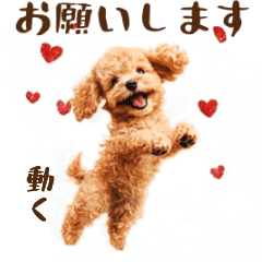 動く♡トイプーの気持ち【改訂版】
