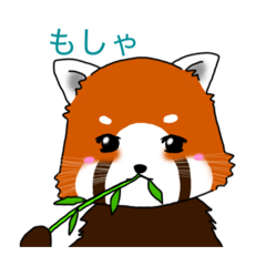 レッサーパンダのオレンジ