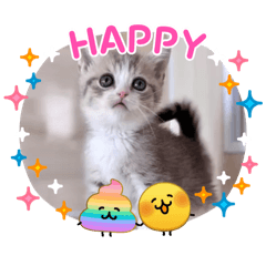 okatawa_20260209185758