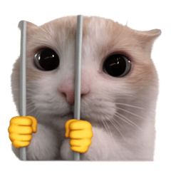 Silly Goofy Dip Catto V.5