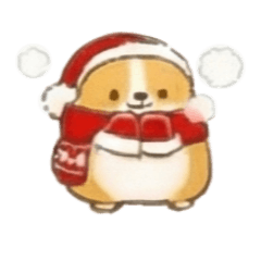 肥嘟嘟系列-柯基 A2