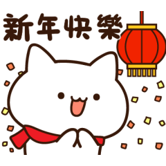 The little cat whit many expressions 5