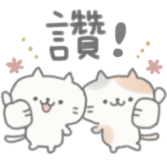 療癒小貓日常
