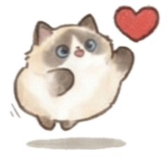 肥嘟嘟系列 - 布偶貓 A1