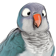 藍和尚鸚鵡：小藍的情緒日常