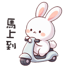 (=´x`=) 白兔兔馬上到