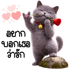 Little Gray Gold Sending Love Love Love